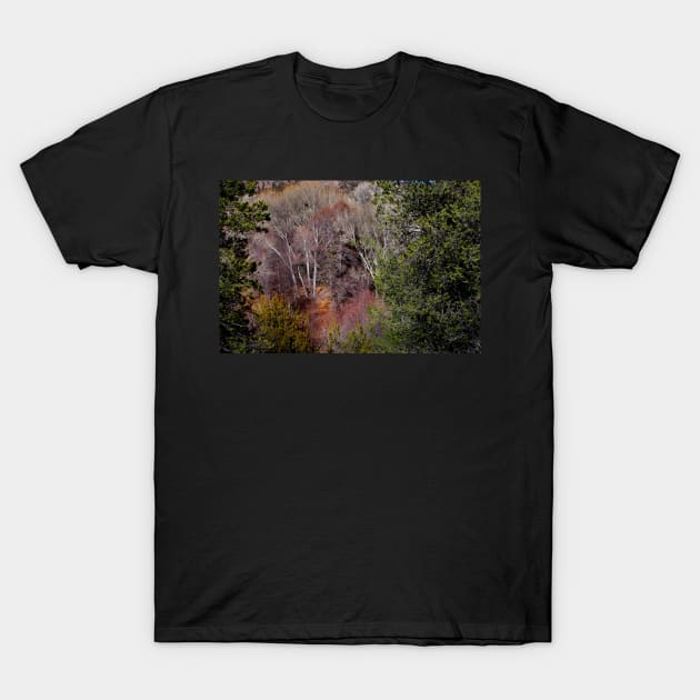 Simply Art of Nature T-Shirt by VKPelham